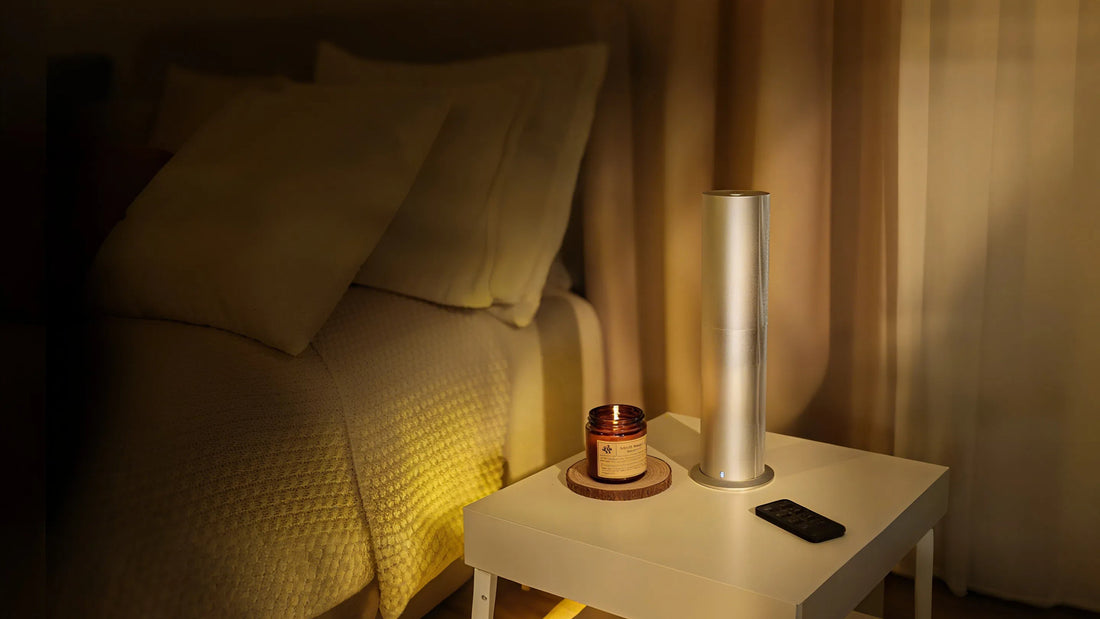 Diffuser vs. Humidifier: What’s the Real Difference?